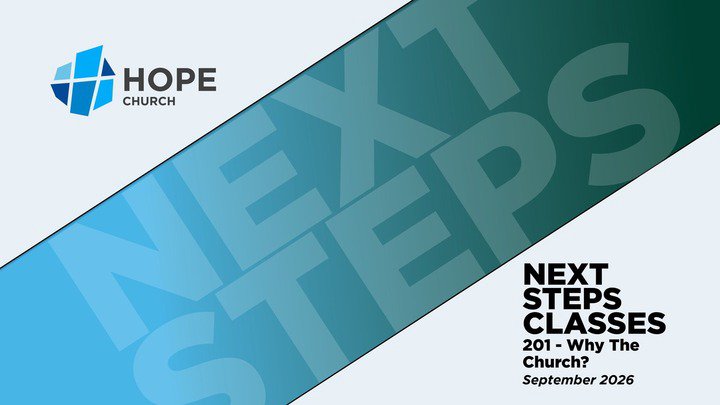 Next Steps 201
